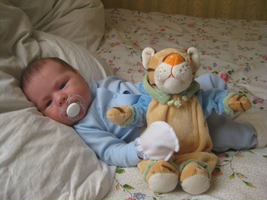 Денис Веснин | Киров