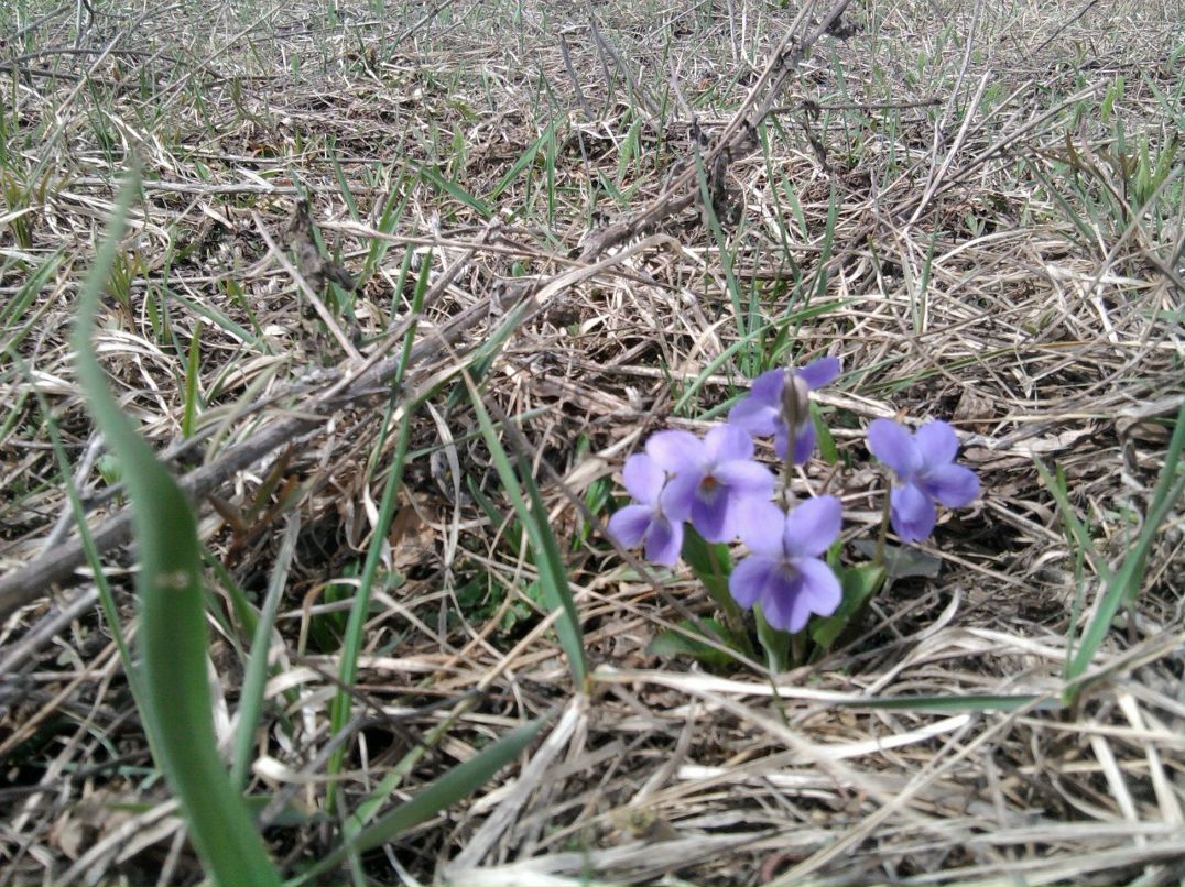Анна Юрпольская | Краснодар