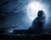 Фотография Иришка Котляревская