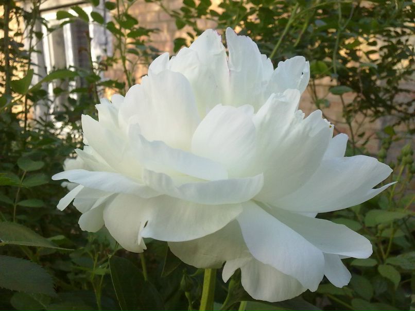 Olya Burjanova | Кропивницкий / Кировоград