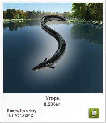 Сергей Алексеев | Санкт-Петербург