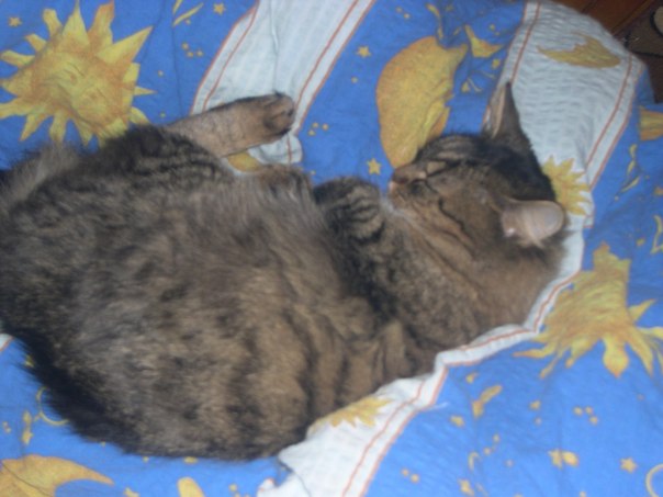 №162, Кристина Грошко, Запорожье №162, Кристина Грошко, Запорожье