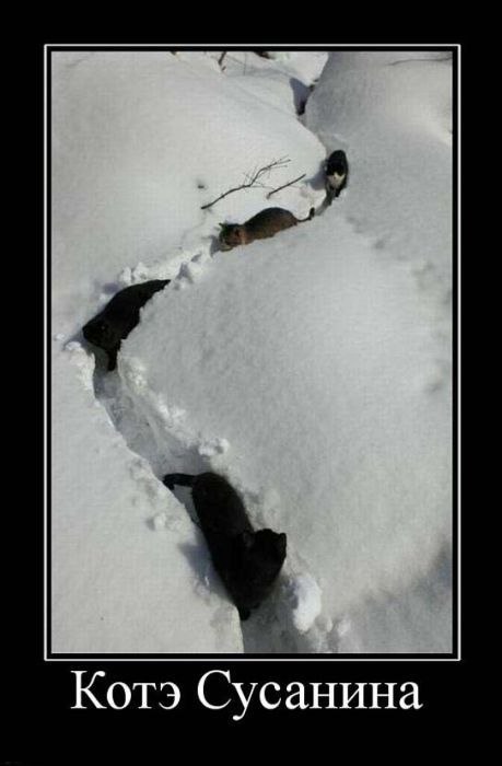 Владимир Маленький | Кривой Рог