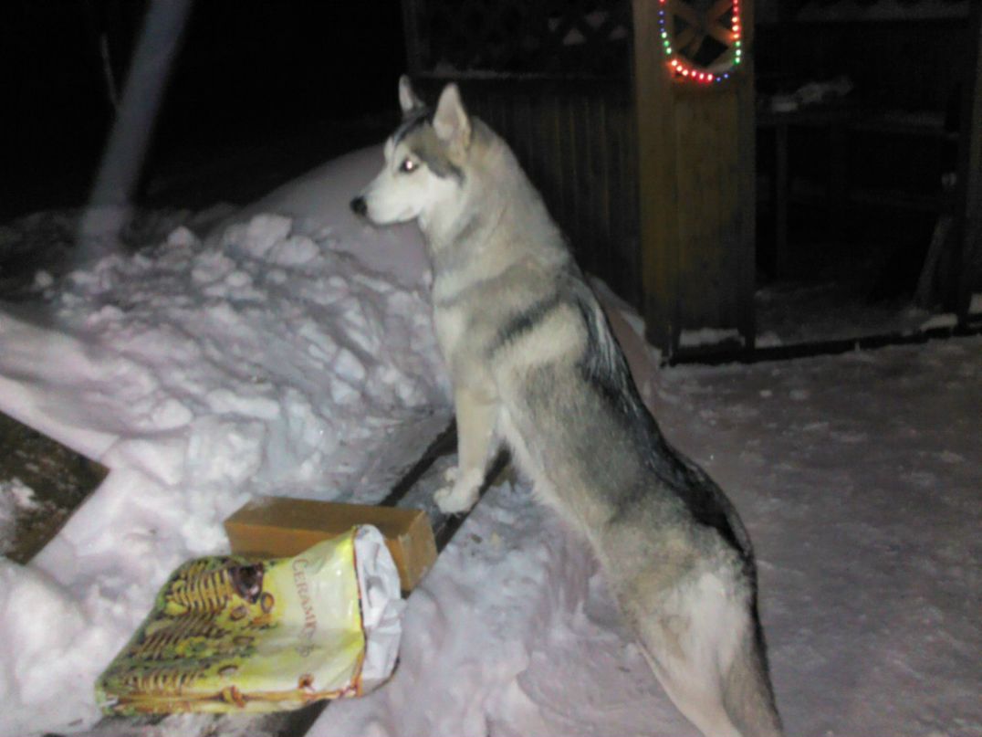 Лариса Лазарева | Киров