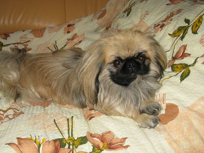 Юля Довганюк | Хмельницкий