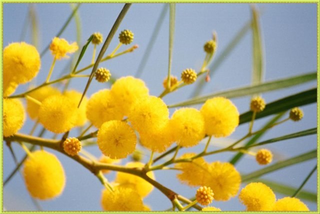 Мария Жесткова | Москва