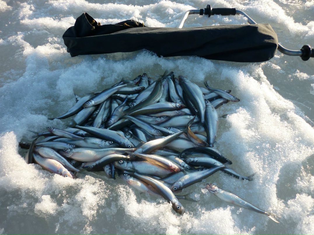 Эдик Кудинов | Санкт-Петербург