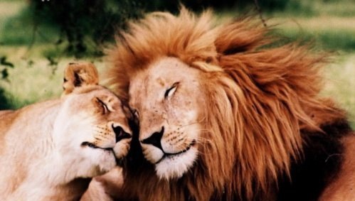 №19, Анна Корнева, 25.2 №19, Анна Корнева, 25.2