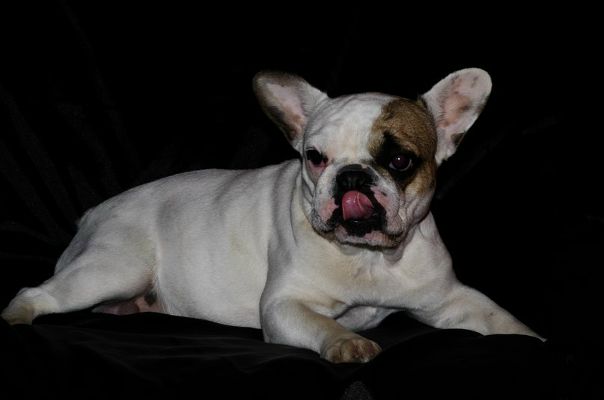 №185, Андрей Колесник, Харьков №185, Андрей Колесник, Харьков