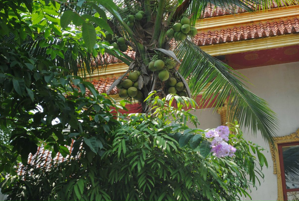 Алексей Петров | Казань