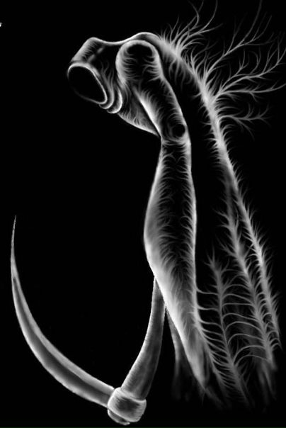 №94, Александр Рыжик, Buenos Aires №94, Александр Рыжик, Buenos Aires