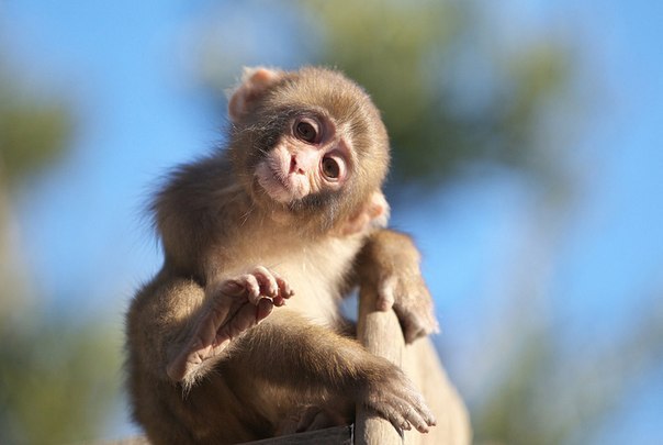 Александр Кузьмин | Санкт-Петербург