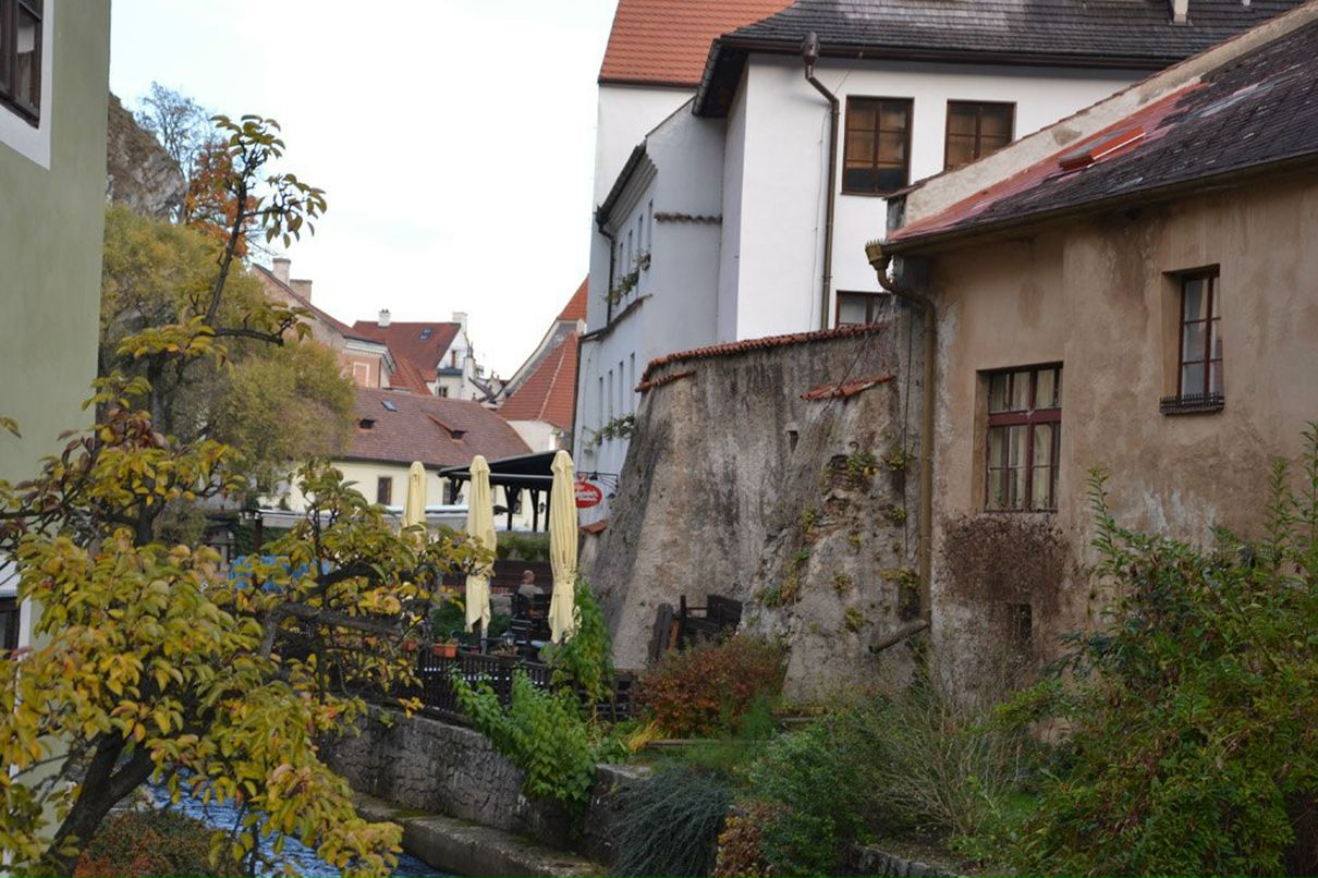 Наталия Молдованова | Одесса