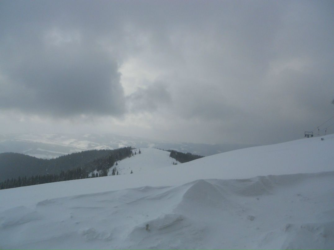 Леся Магеррамова | 