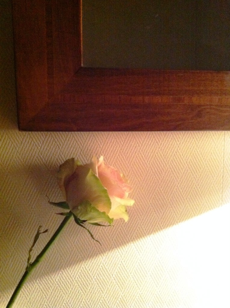 Olga Parshikova .ı.lı.ıllı. | Москва