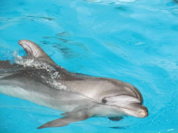 №11, Эльвира Хузятова №11, Эльвира Хузятова