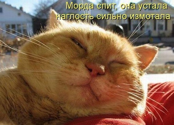 Женёчек Пушкин | Москва