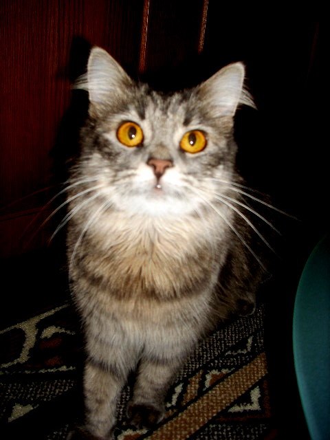 Анастасия Мусиец | Винница