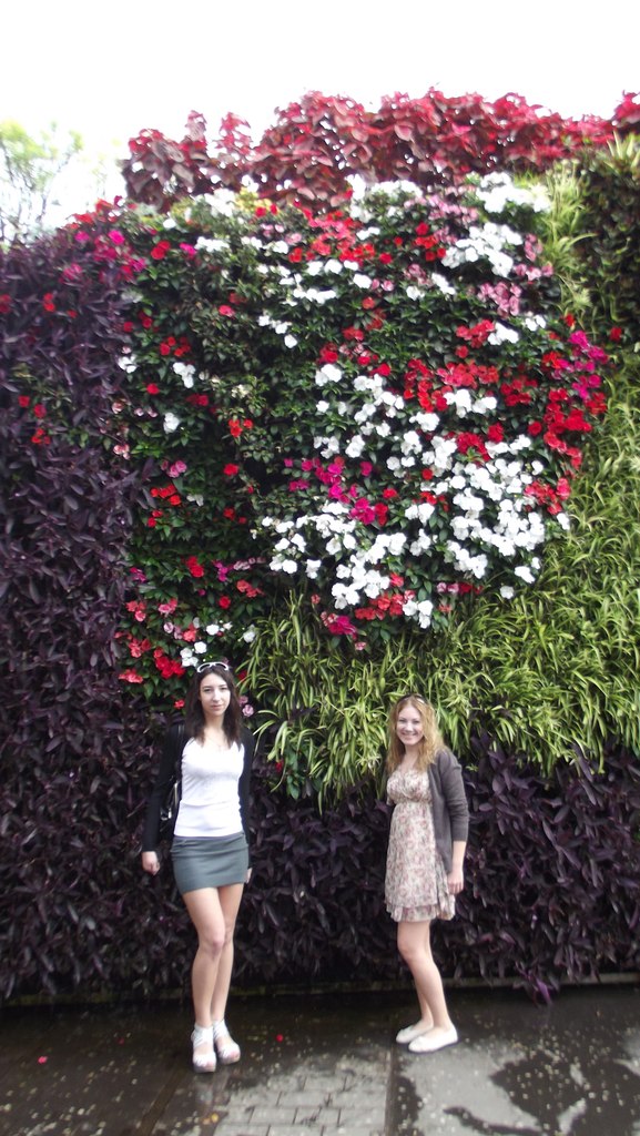 Евгений Плисов | Санкт-Петербург