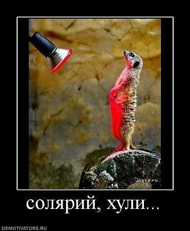 Айваз Асланов | Санкт-Петербург