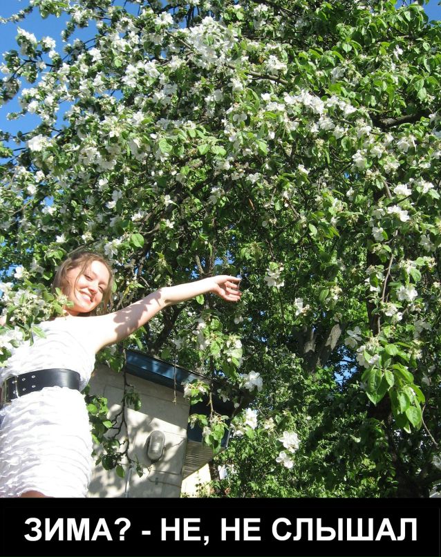 Злостная Сектантка | Гомель