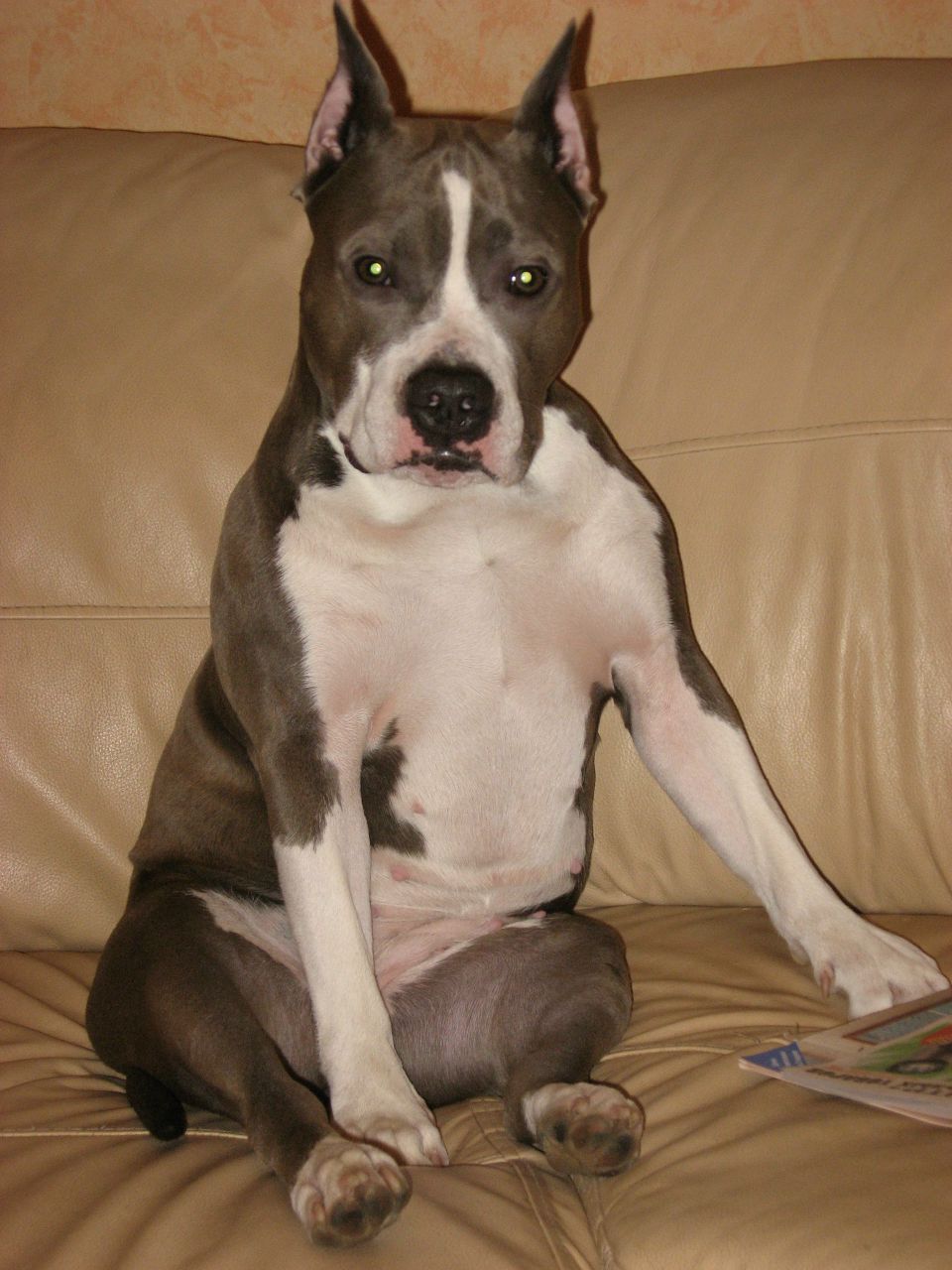 Светлана Филатова | Москва