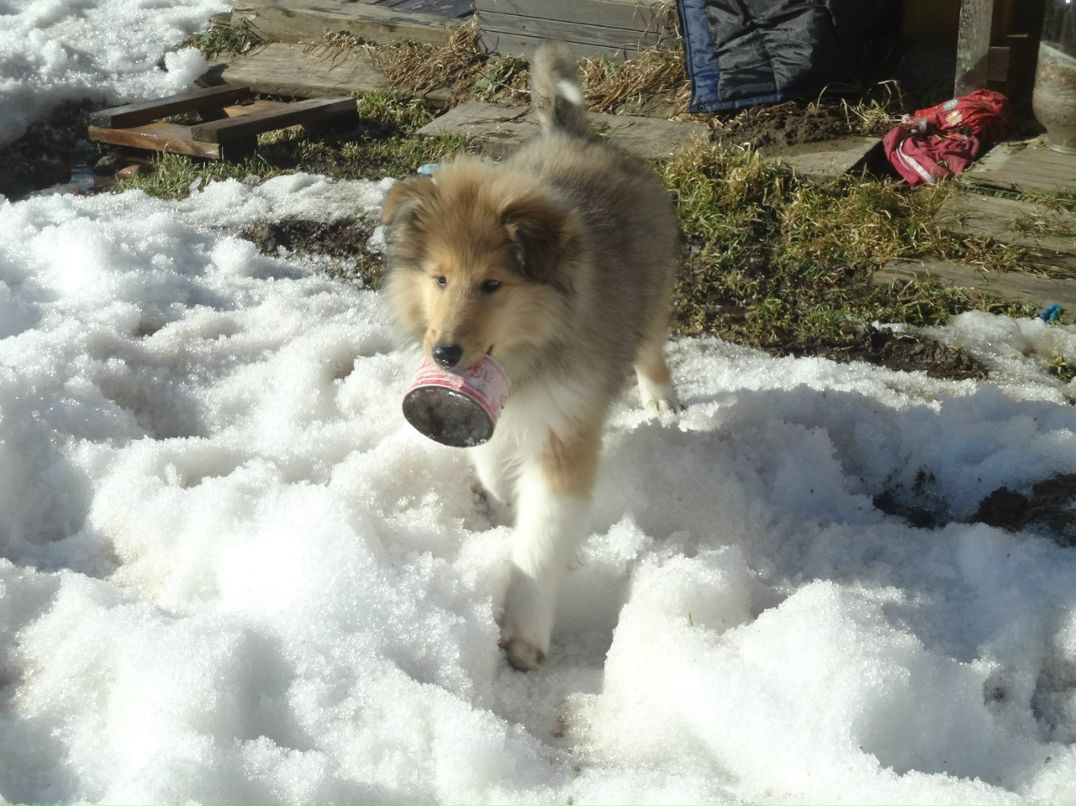 Светлана Егорова | Санкт-Петербург