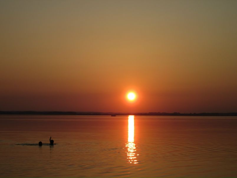 №16, Олеся Бородина №16, Олеся Бородина