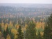 Нина Паутова фотография #36