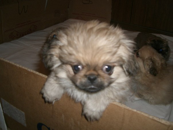 Екатерина Граждан | Ульяновск