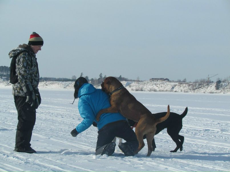 Алексей Пепеляев | Краснокамск