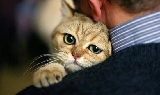 Екатерина Андреева-Иргизнова TiGra | Самара