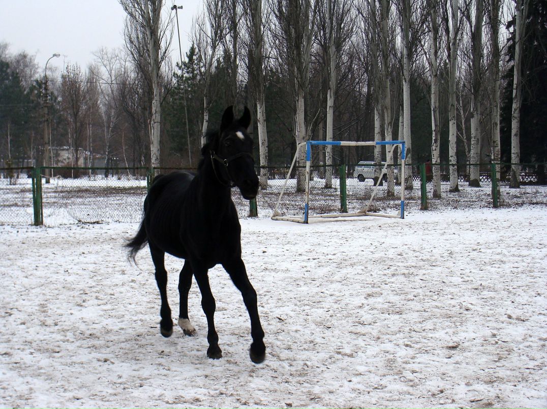 Лада Дордий Ладсон | Warszawa
