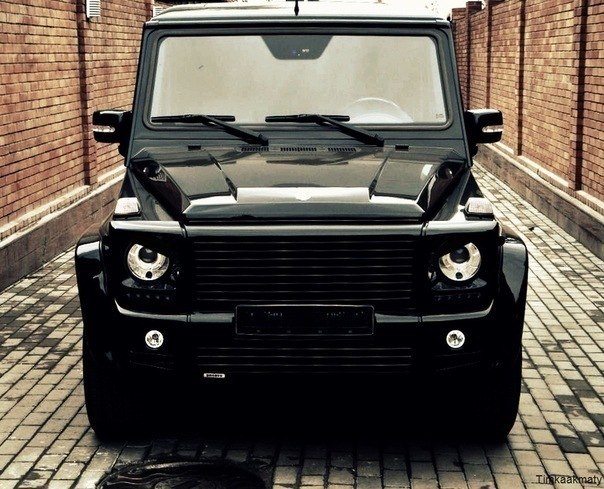 Ya Shevchenko | Медвин