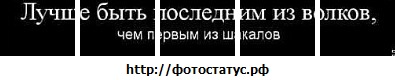 №28, Александр Крылов, 31 год, Нижний Новгород №28, Александр Крылов, 31 год, Нижний Новгород