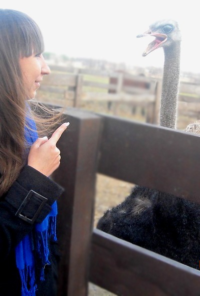 №87, Мария Храпач, Полтава №87, Мария Храпач, Полтава