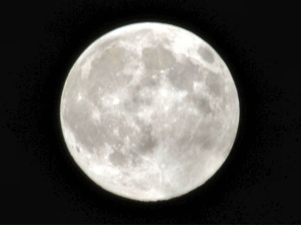 №100, Vincenzo Lombardo, Bologna №100, Vincenzo Lombardo, Bologna