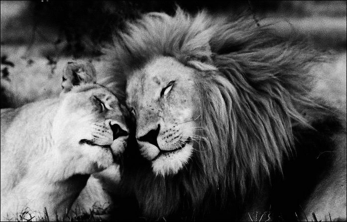 Ваня Ануфриев | Одесса