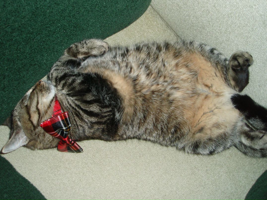 Юлия Ткачук | Кривой Рог