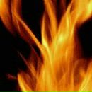 Алексей Цёмик | Санкт-Петербург