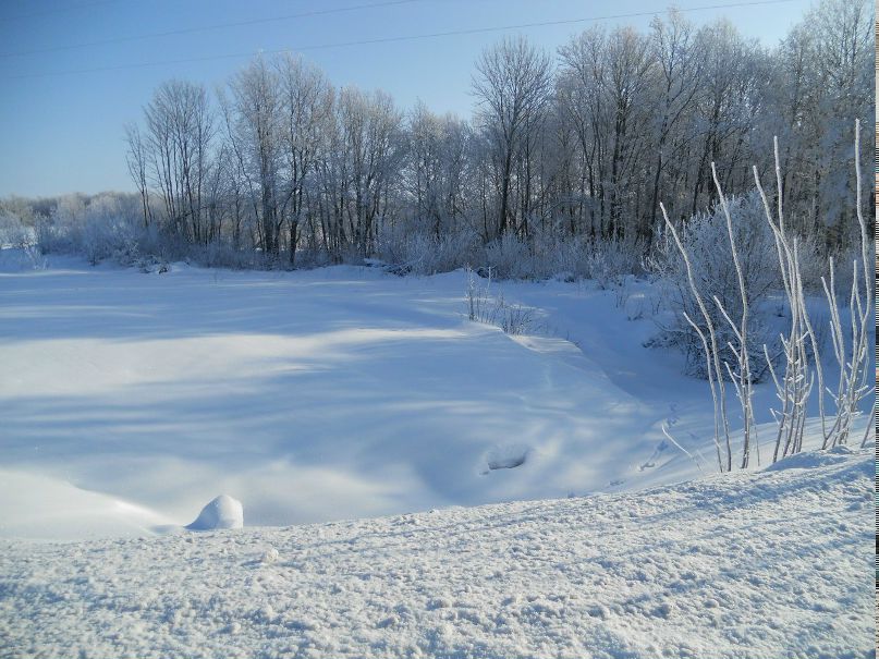 Елена Булычева | Инсар