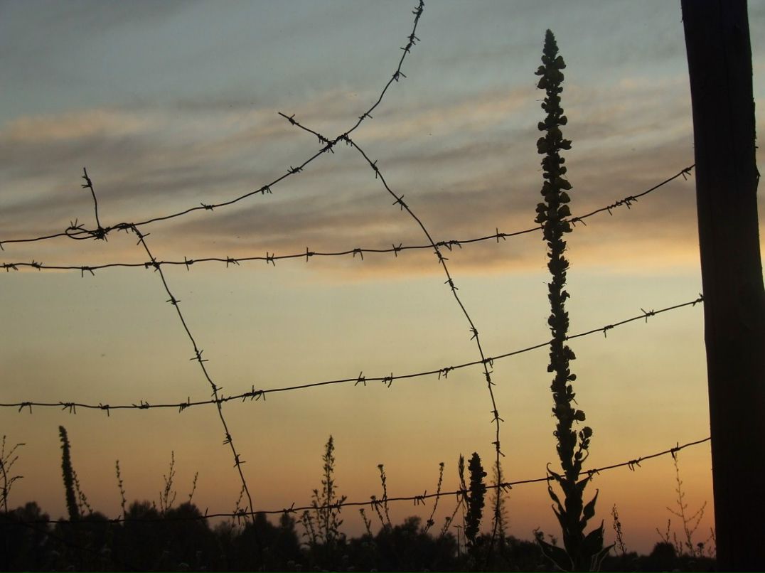 Богдан Мичуда | Чернигов