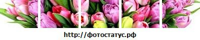 Фотография Валентина Дмитриева