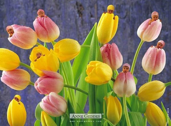 Лилия Крупа | Волочиск