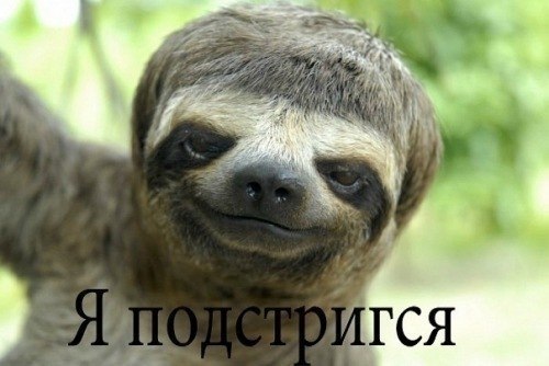 Александр Романенко | Донецк