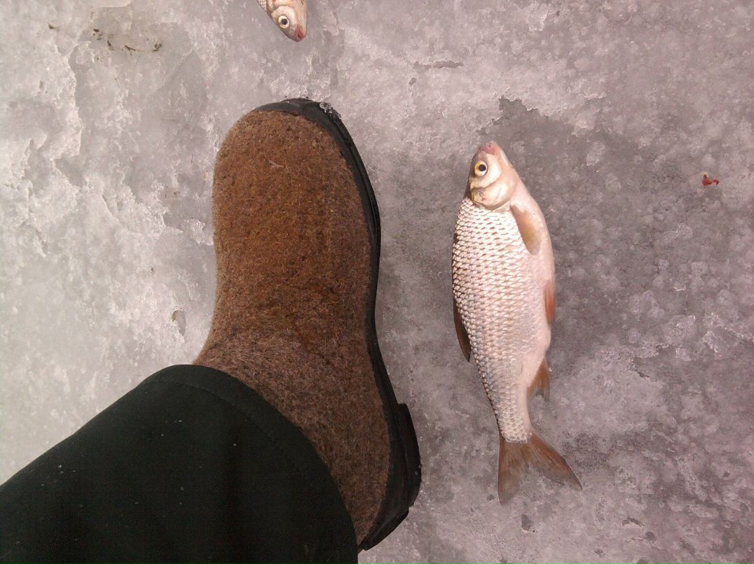 Олег Заименко | Волжский