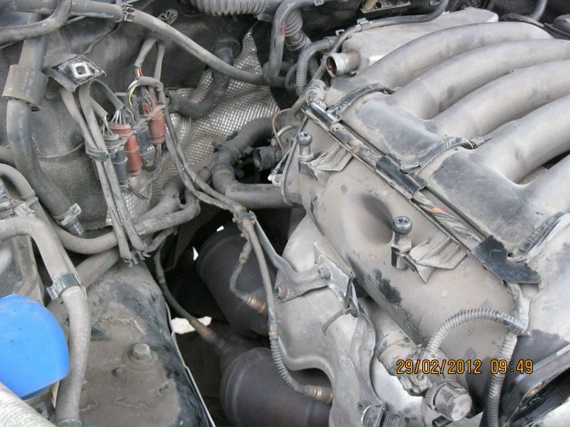 Сергей Вильманов | Санкт-Петербург