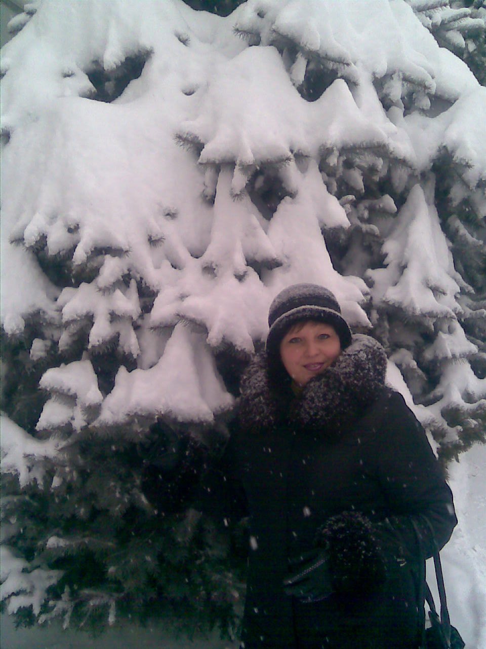 Людмила Кушнір | 