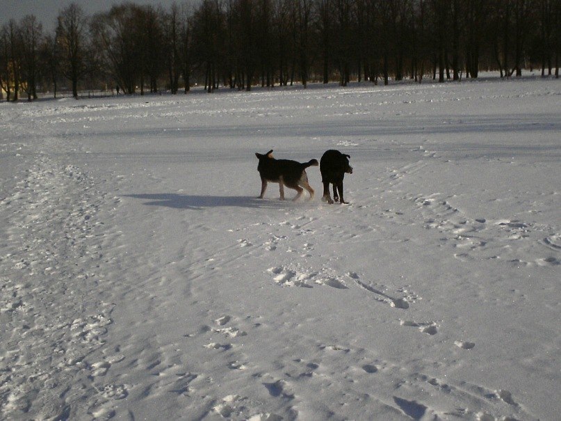 Владимир Исаев | Санкт-Петербург