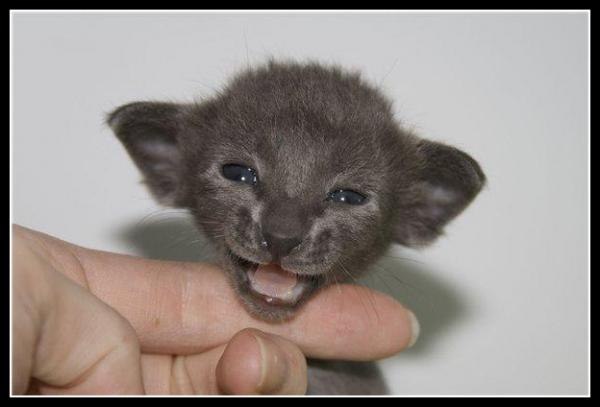 Владислав Векшин | Оренбург